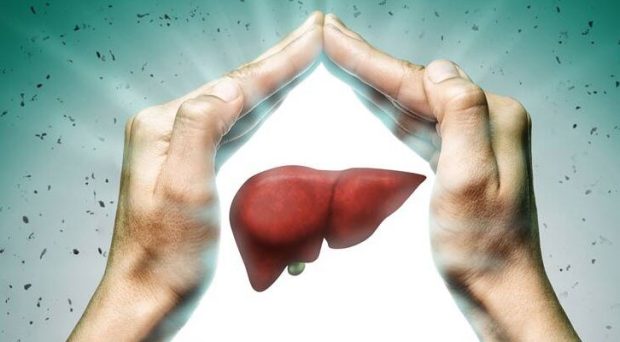 world liver day 2022: Liver transplant for 543 people in 15 years