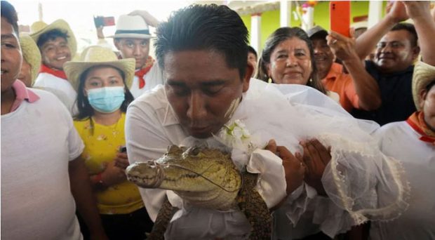 Mexico mayor marries alligator dressed as a bride