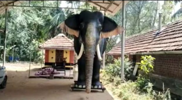 Kerala temple introduces mechanical elephant for performing rituals