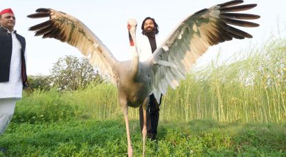 Forest Department Case Against UP Man Who Rescued, Cared For Sarus Crane