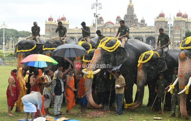 Mysore: ಮೈಸೂರಿನಲ್ಲಿ ದಸರಾ ಗಜಪಡೆಗೆ ಪೂಜೆ ಸಲ್ಲಿಸಿದ ಪೇಜಾವರ ಶ್ರೀ