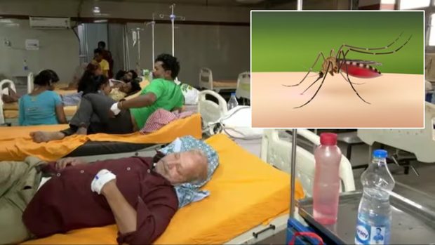 Dengue: ಉತ್ತರ ಪ್ರದೇಶದಲ್ಲಿ 13,000 ಡೆಂಗ್ಯೂ ಪ್ರಕರಣ… 24 ಮಂದಿ ಮೃತ್ಯು, ಹೆಚ್ಚಿದ ಆತಂಕ