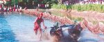 Bengaluru kambala:ಅಲೆ… ಬುಡಿಯೆರ್‌ ಬೆಂಗಳೂರಿನಲ್ಲಿ ಕರಾವಳಿ ಕನ್ನಡಿಗರ ಕಂಪು