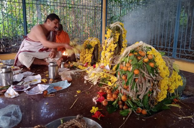 Deepavali Special: ದೀಪಾವಳಿ ವಿಶೇಷ… ಇಲ್ಲಿ ಹುಲಿ ದೇವರಿಗೇ ವಿಶೇಷ ಪೂಜೆ