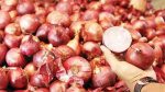 Onion Price: ಈರುಳ್ಳಿ ಬೆಲೆಯಲ್ಲಿ ದಿಢೀರ್‌ ಏರಿಕೆ, ಕ್ವಿಂಟಾಲ್‌ ಗೆ ಶೇ.40ರಷ್ಟು ಹೆಚ್ಚಳ