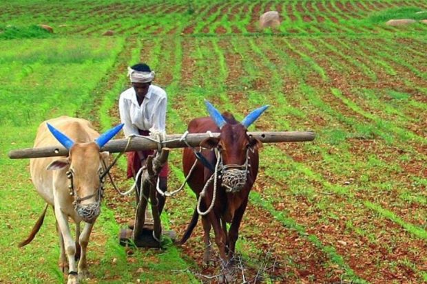 Budget 2024: ಕೃಷಿಯನ್ನು ಉತ್ತೇಜಿಸಲು ‘ಕರ್ನಾಟಕ ರೈತ ಸಮೃದ್ಧಿ ಯೋಜನೆ’…