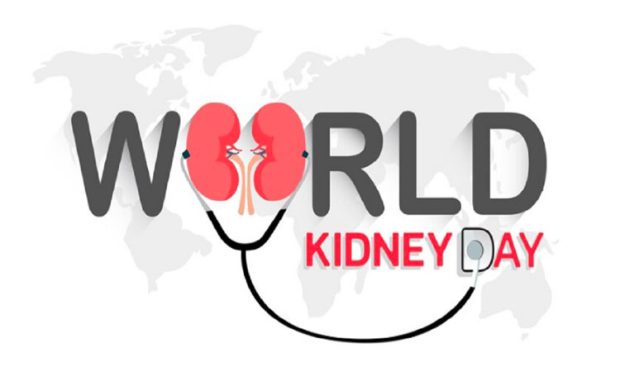 2-kidney-day