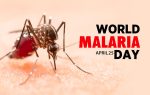 Today World Malaria Day; ಕರಾವಳಿಯಲ್ಲಿ ಇಳಿಕೆಯಾಗುತ್ತಿದೆ ಮಲೇರಿಯಾ