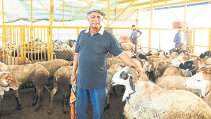 Sheep Farming: ಸಹಕಾರ ರಂಗಕ್ಕೂ ಸೈ… ಕೃಷಿ ರಂಗಕ್ಕೂ ಜೈ!